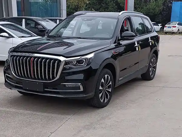 Hongqi HS7 2019