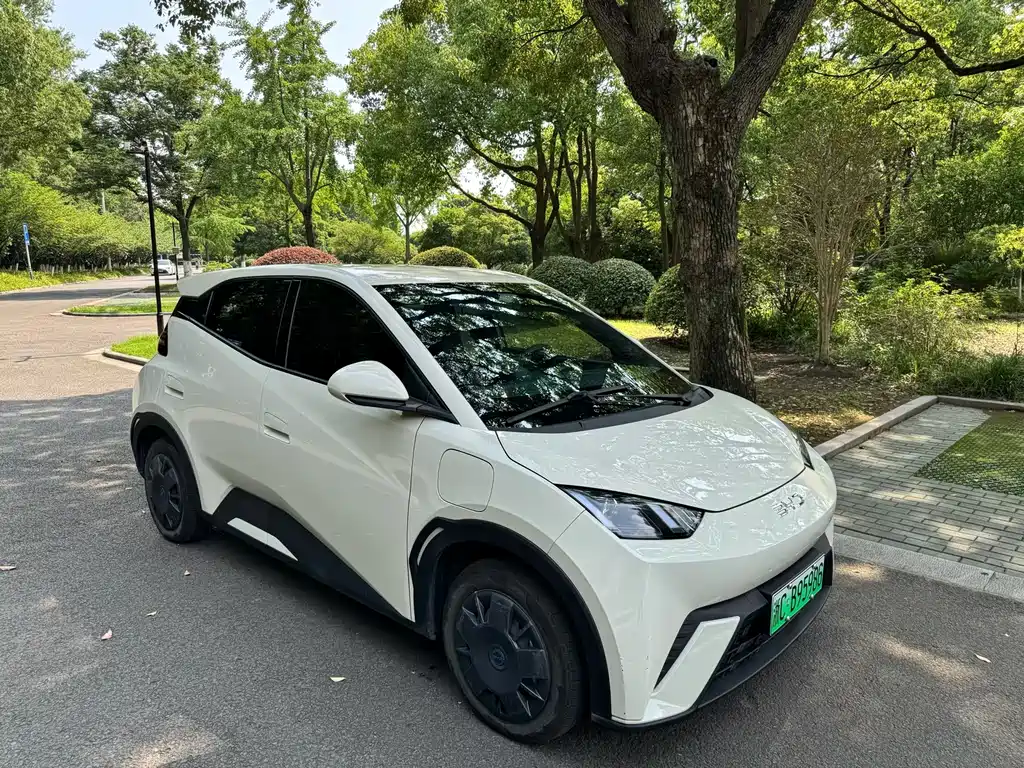 BYD Seagull 2024