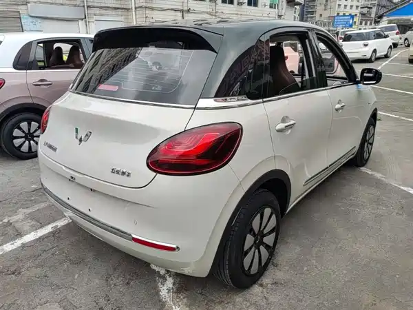 Wuling Bingo 2024