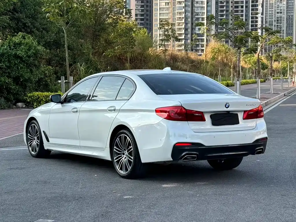 BMW 5 Series 2019 — фото 9