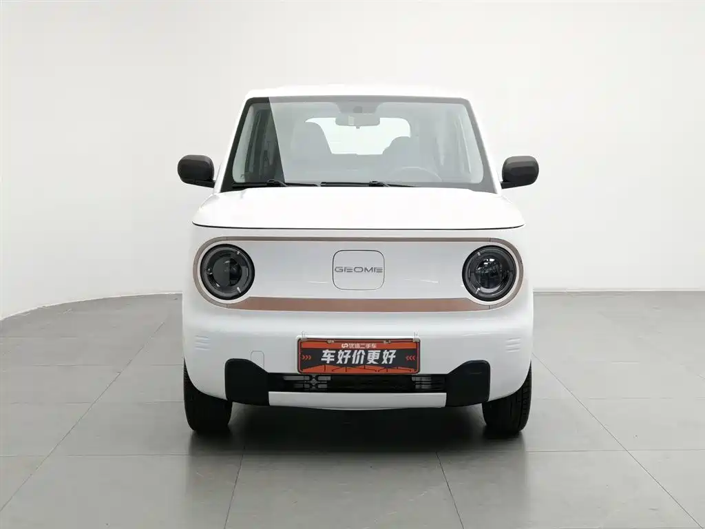 Galaxy Panda 2023