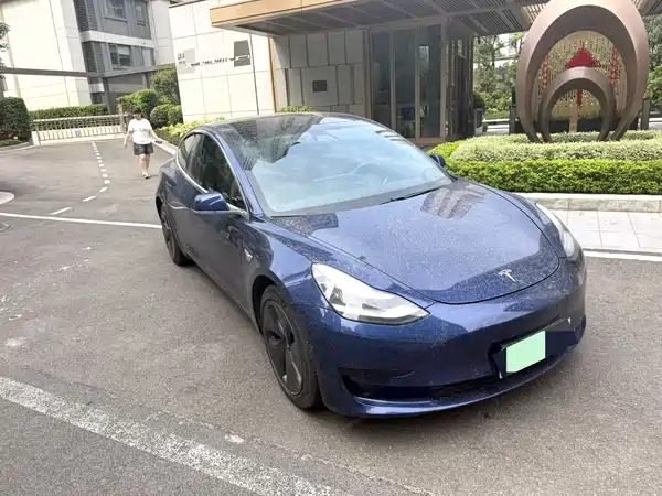 Tesla Model 3 2020
