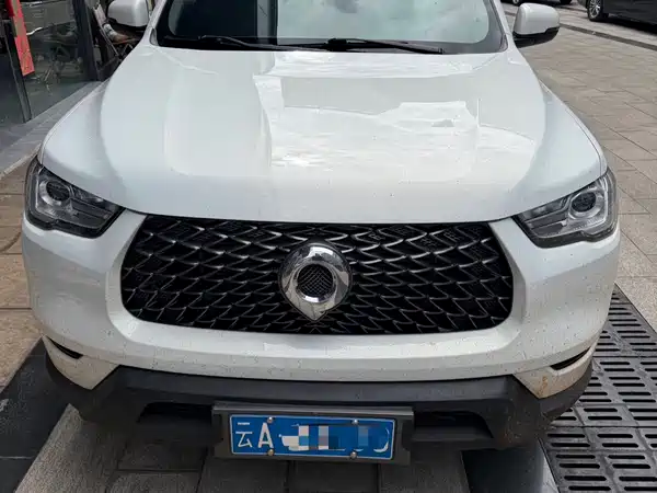 Great Wall Poer 2023