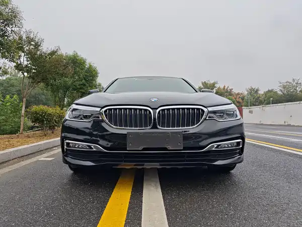 BMW 5 Series New Energy 2018