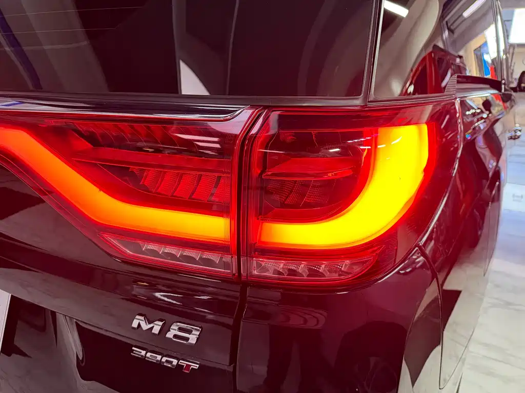 GAC Trumpchi M8 2024 — фото 12