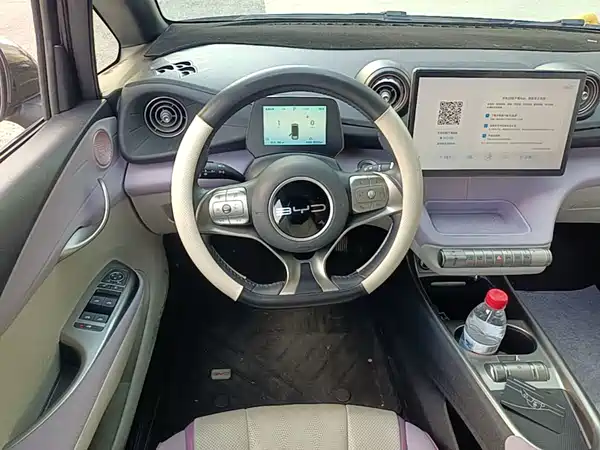 BYD Dolphin 2024