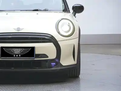 MINI MINI 2022