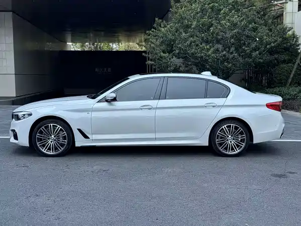 BMW 5 Series 2019