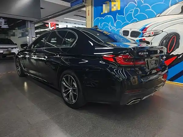 BMW 5 Series New Energy 2021