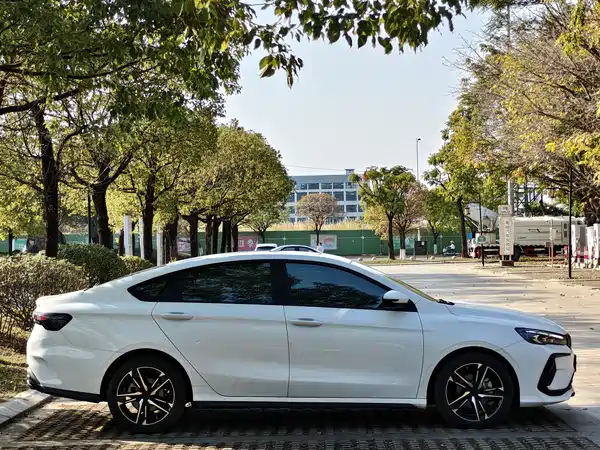 Geely Binrui 2024