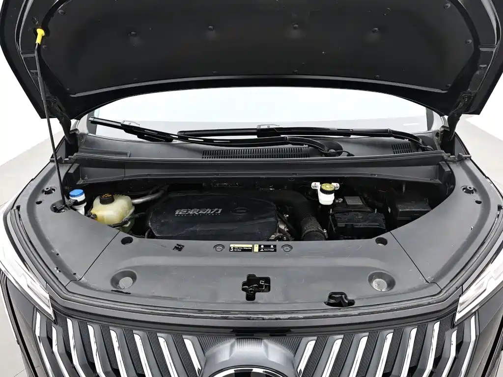 GAC Trumpchi M8 2024 — фото 18