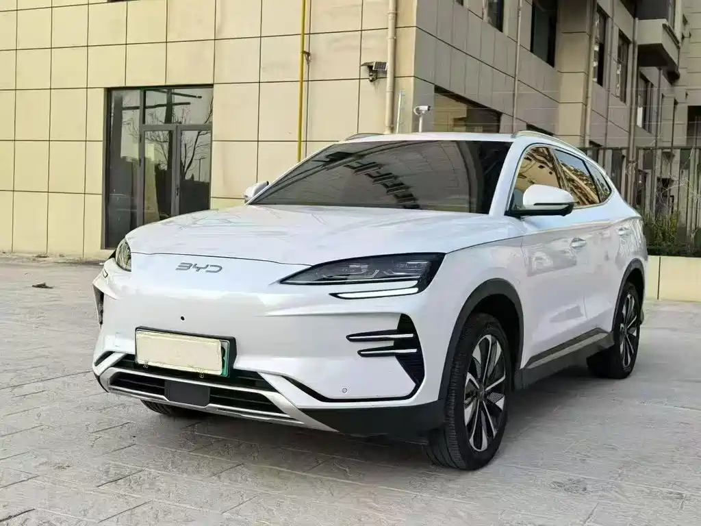 BYD Song PLUS New Energy 2024 — фото 1