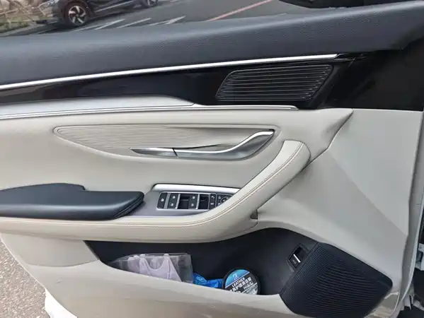 BYD Song PLUS New Energy 2023