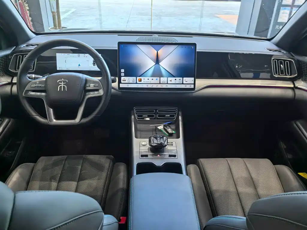 BYD Song Pro New Energy 2025 — фото 12