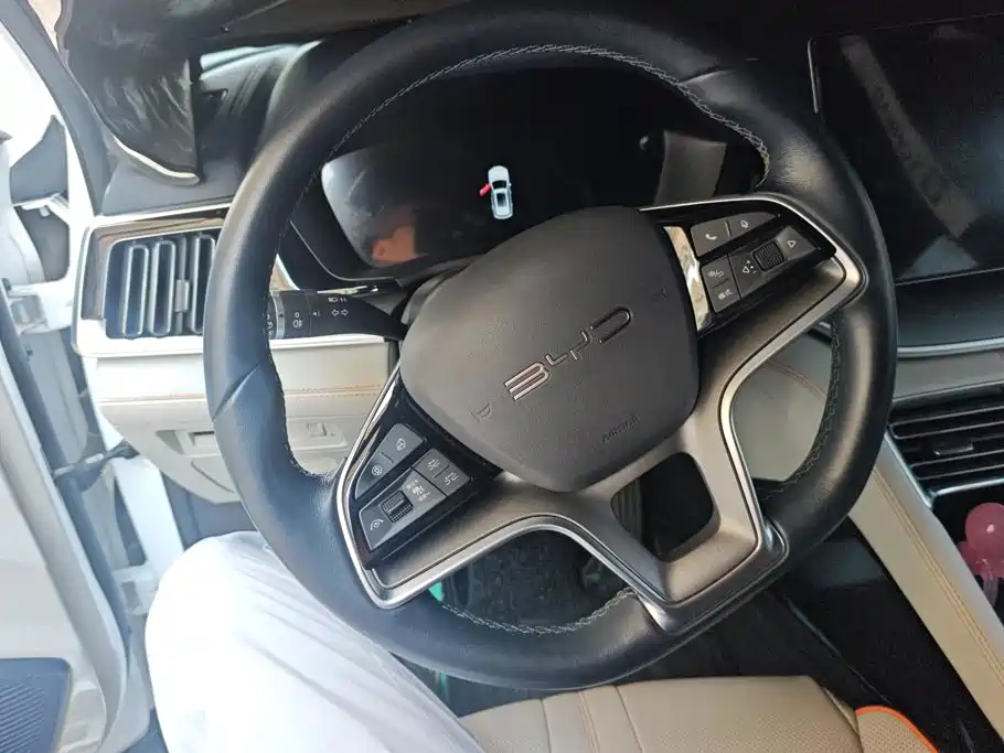 BYD Song PLUS New Energy 2023 — фото 15