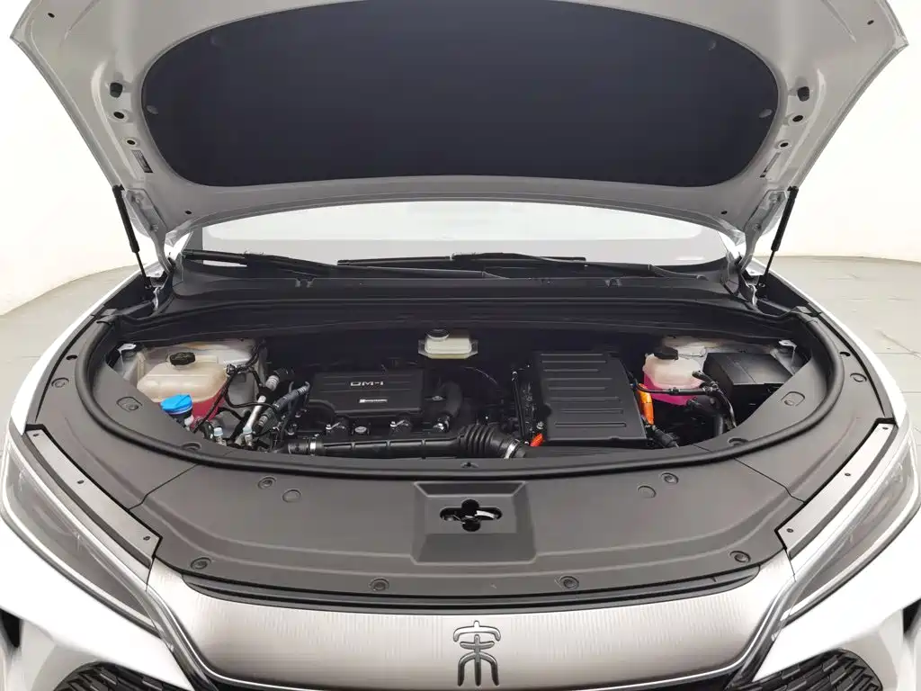 BYD Song L DM-i 2024 — фото 6