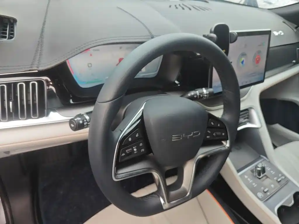 BYD PLUS New Energy 2024 — фото 10