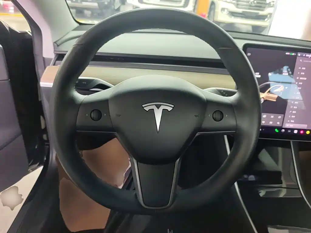 Tesla Model 3 2020 — фото 11