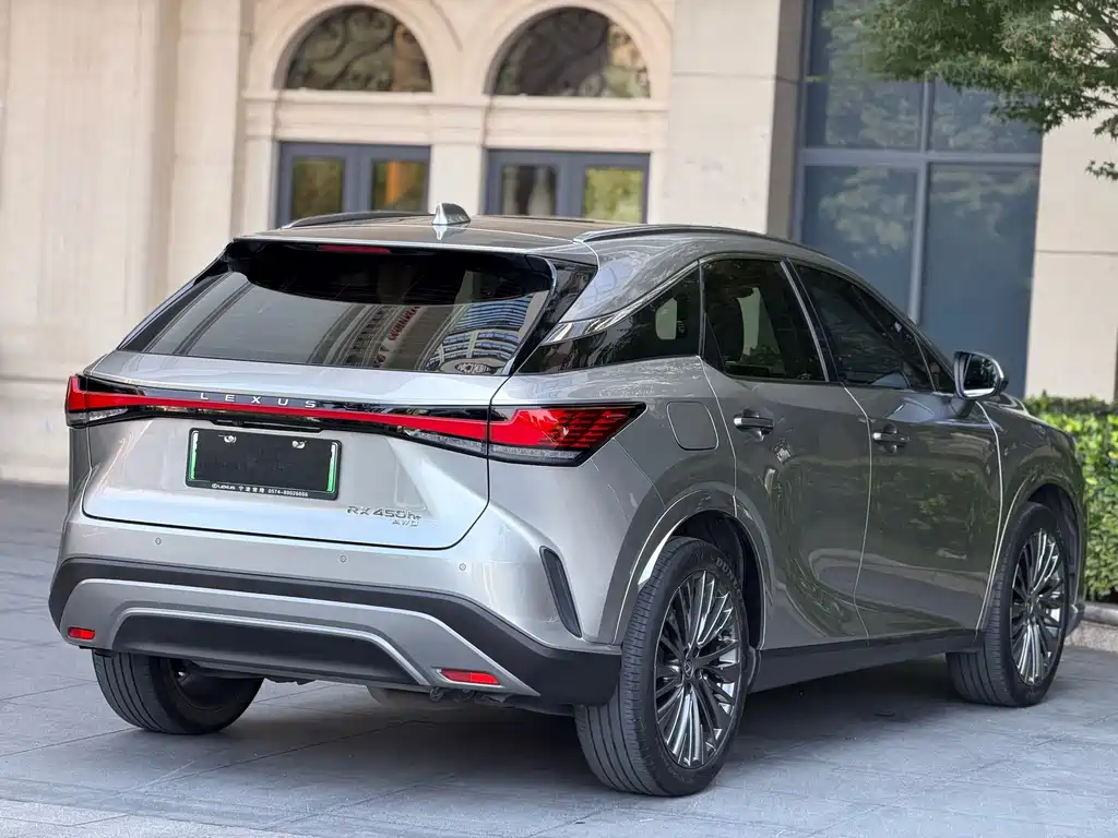 Lexus RX New Energy 2023 — фото 8