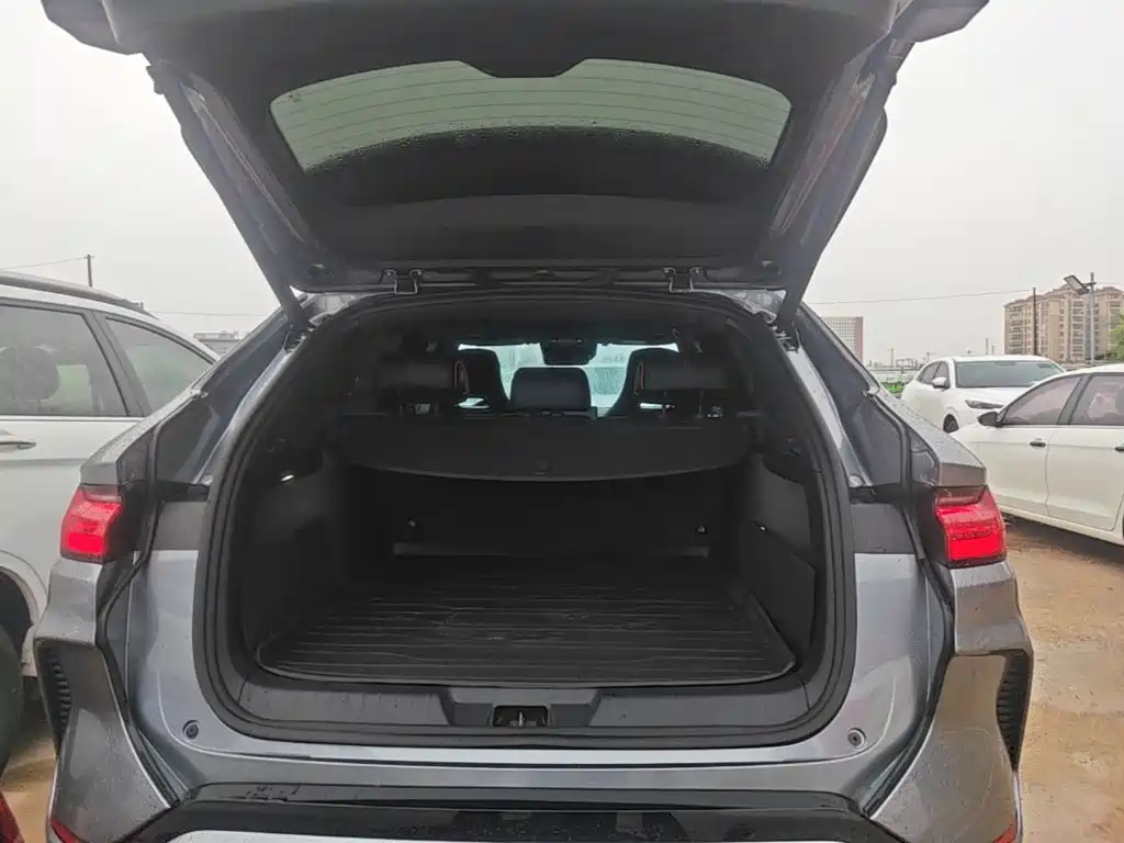BYD PLUS New Energy 2024 — фото 19