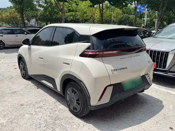BYD Seagull 2024
