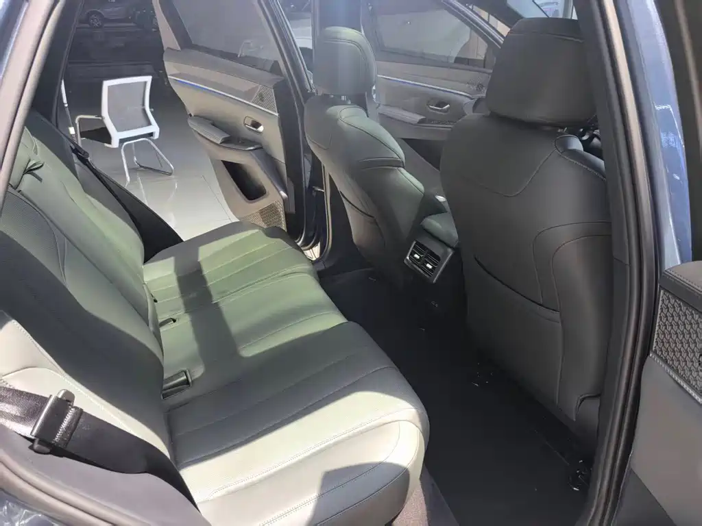 BYD Pro New Energy 2025 — фото 13