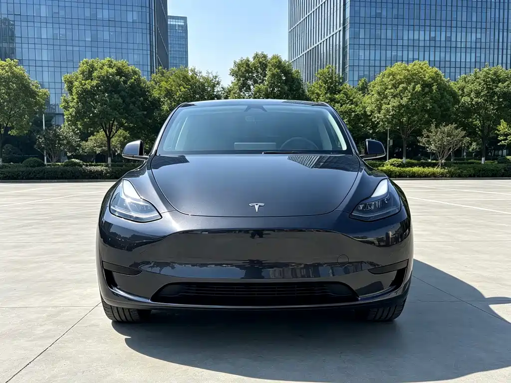 Tesla Model Y 2024 — фото 2