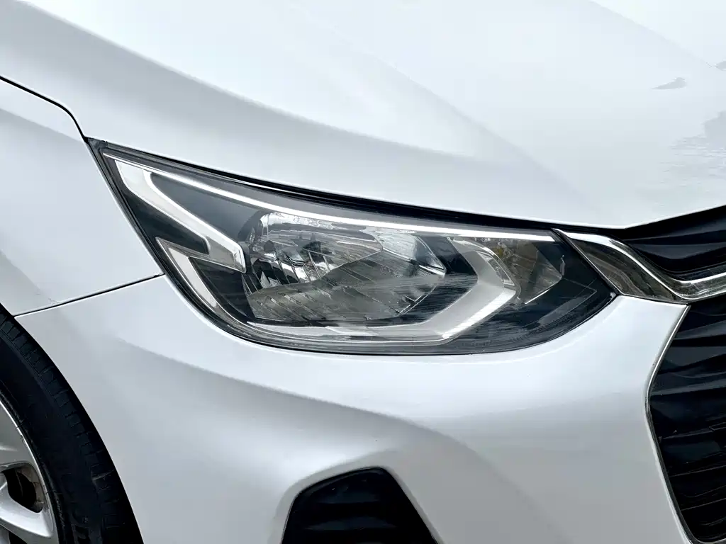 Chevrolet Cavalier 2021 — фото 16