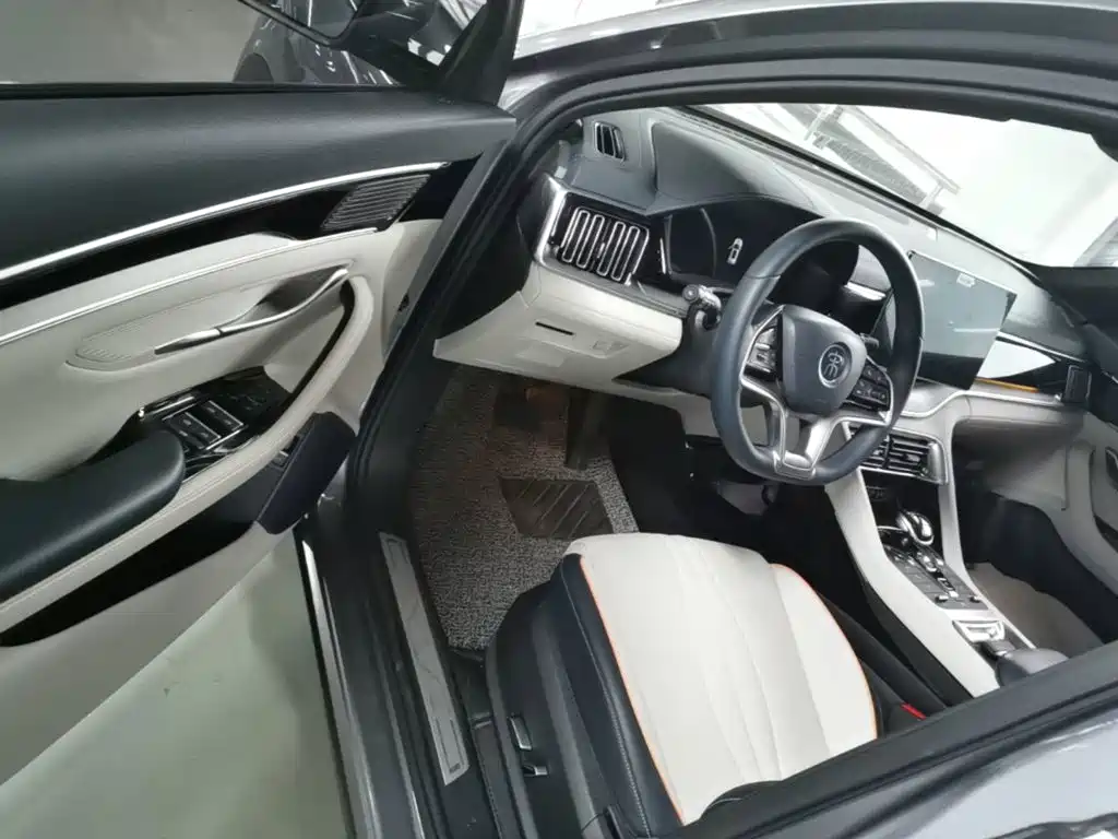 BYD PLUS New Energy 2023 — фото 12