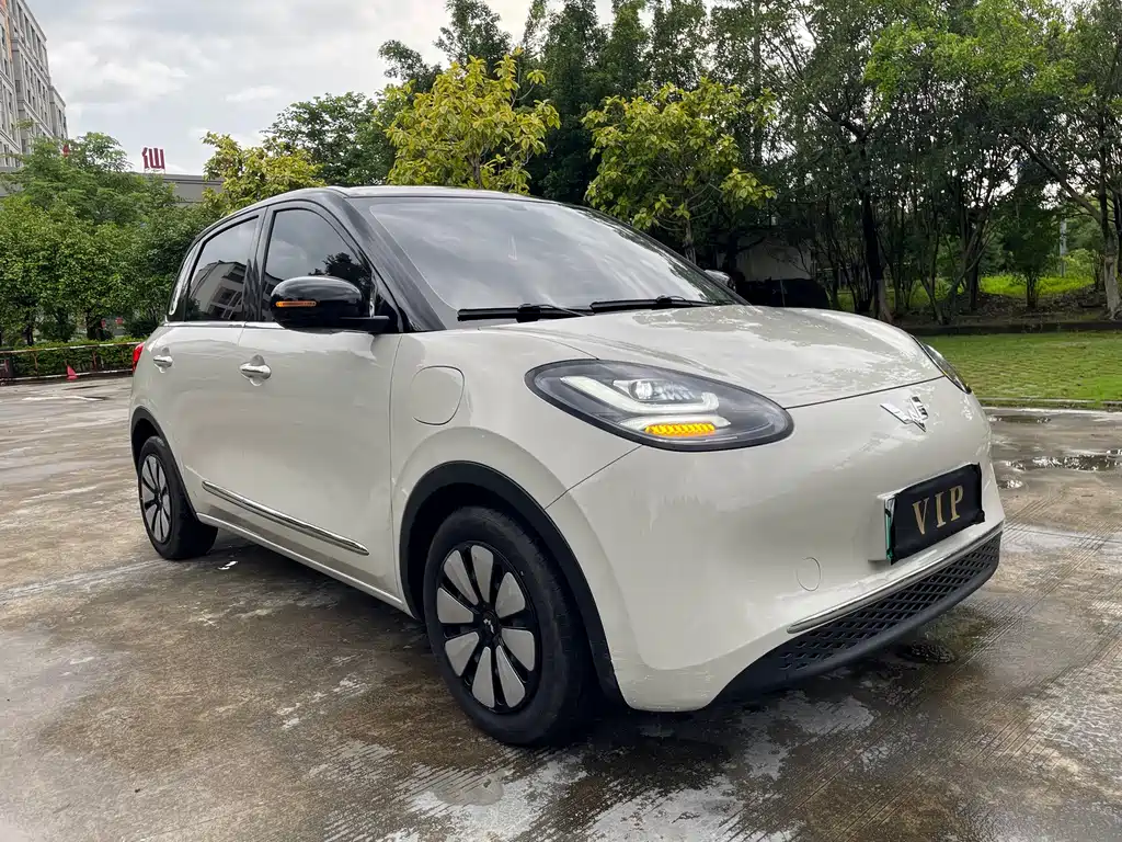 Wuling Bingo 2024