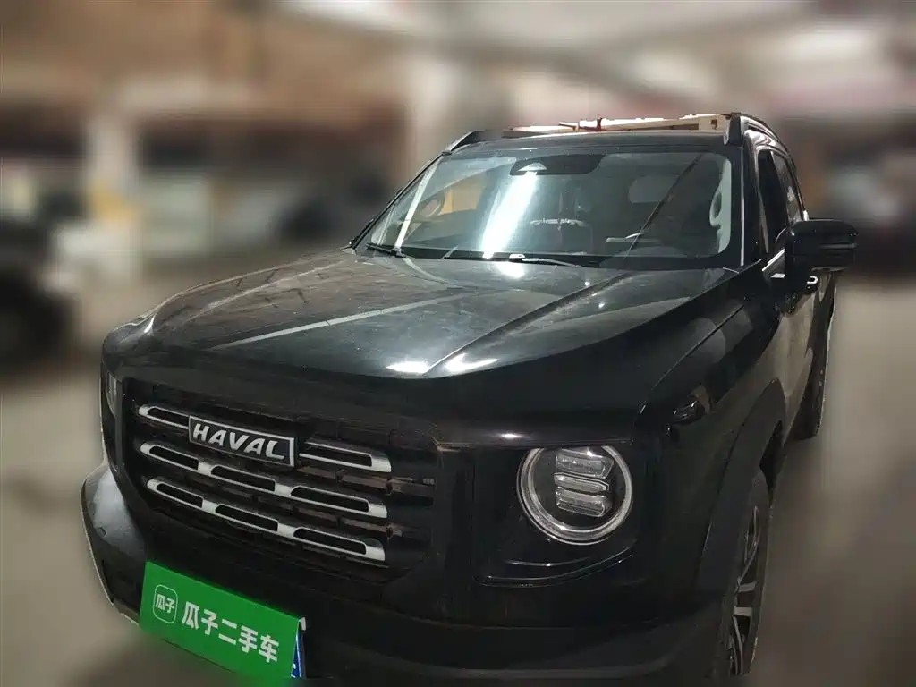 Haval Big Dog 2022 — фото 24