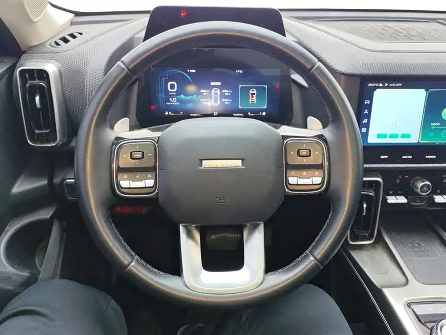 Haval Big Dog 2021 — фото 15