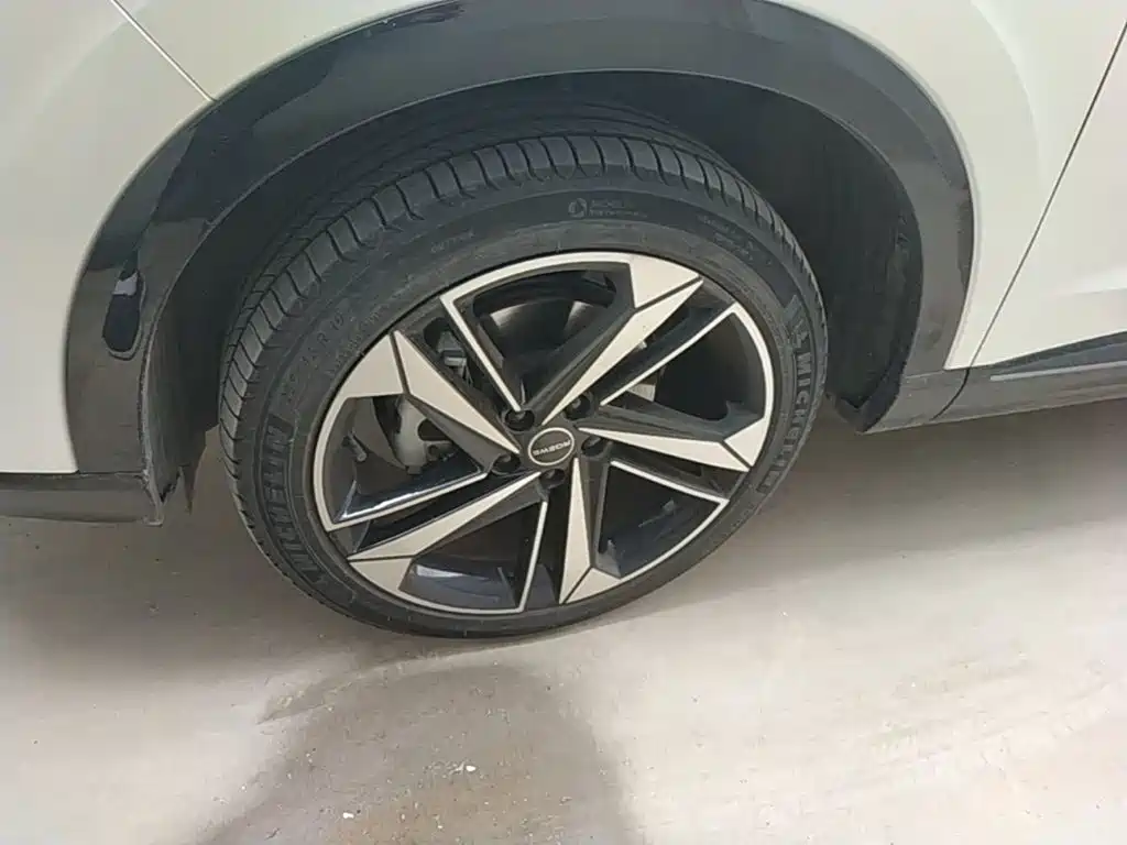Roewe RX5 MAX 2023 — фото 23