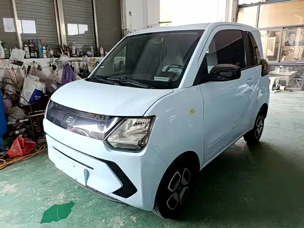 Dongfeng Scenery MINIEV 2022