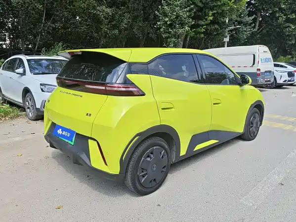 BYD Seagull 2024