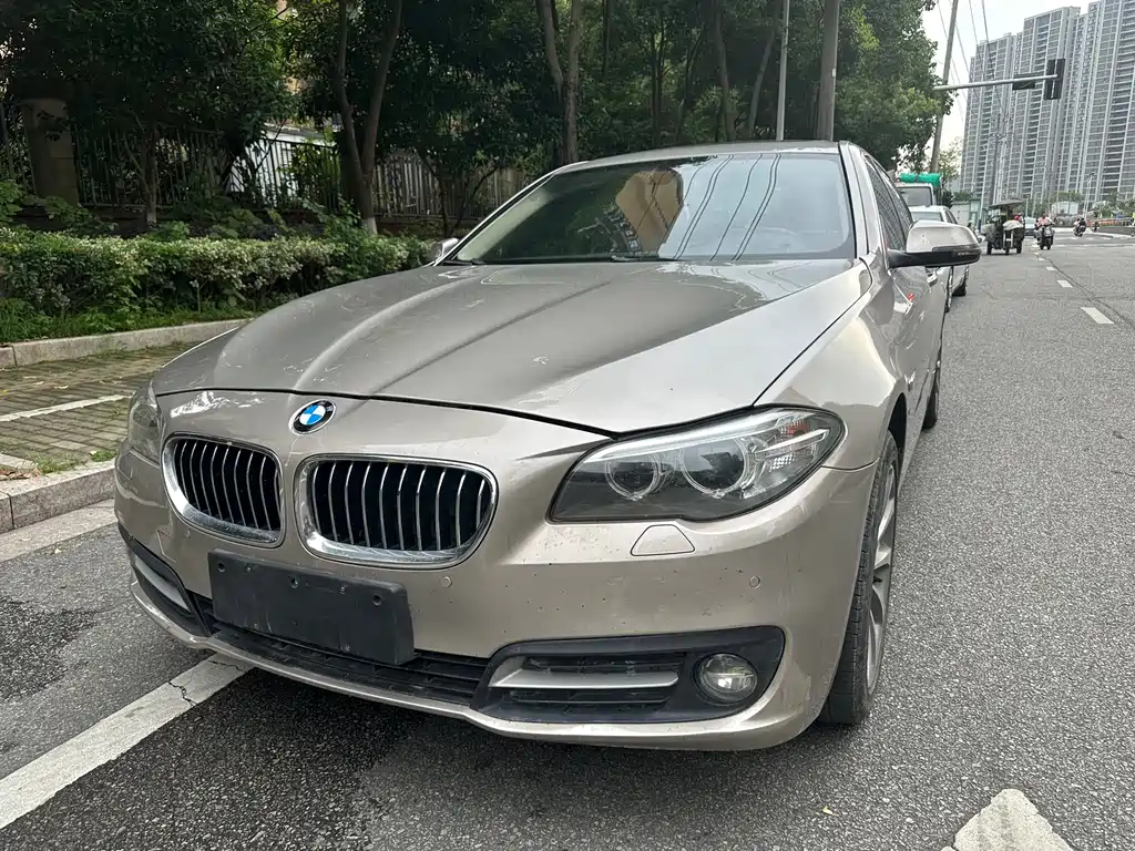 BMW 5 Series 2016 — фото 1