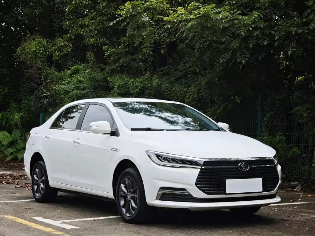 BYD Qin NEV 2021 — фото 2