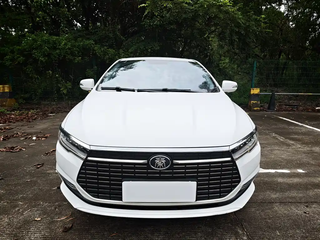BYD Qin NEV 2021 — фото 6