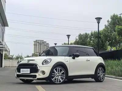MINI MINI 2020