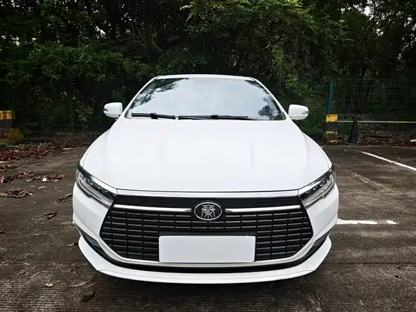 BYD Qin NEV 2021