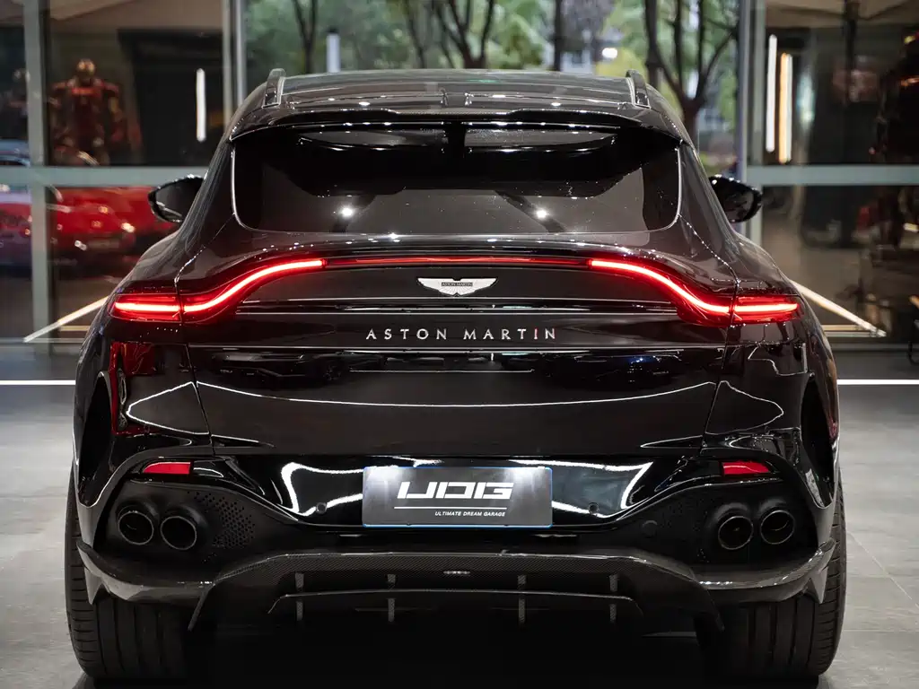 Aston Martin DBX 2021 — фото 13