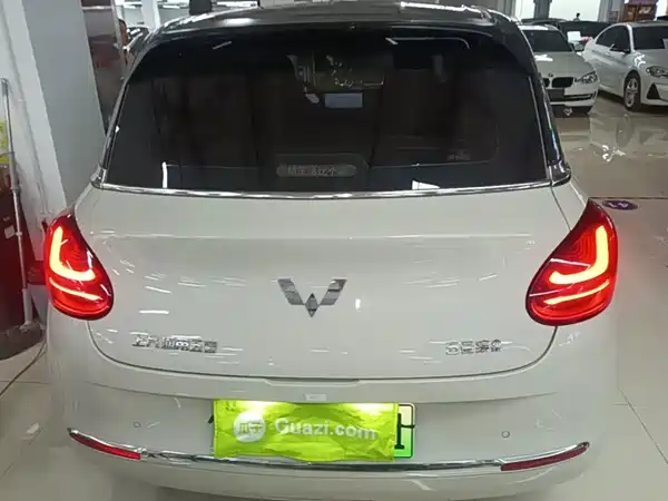 Wuling Bingo 2024