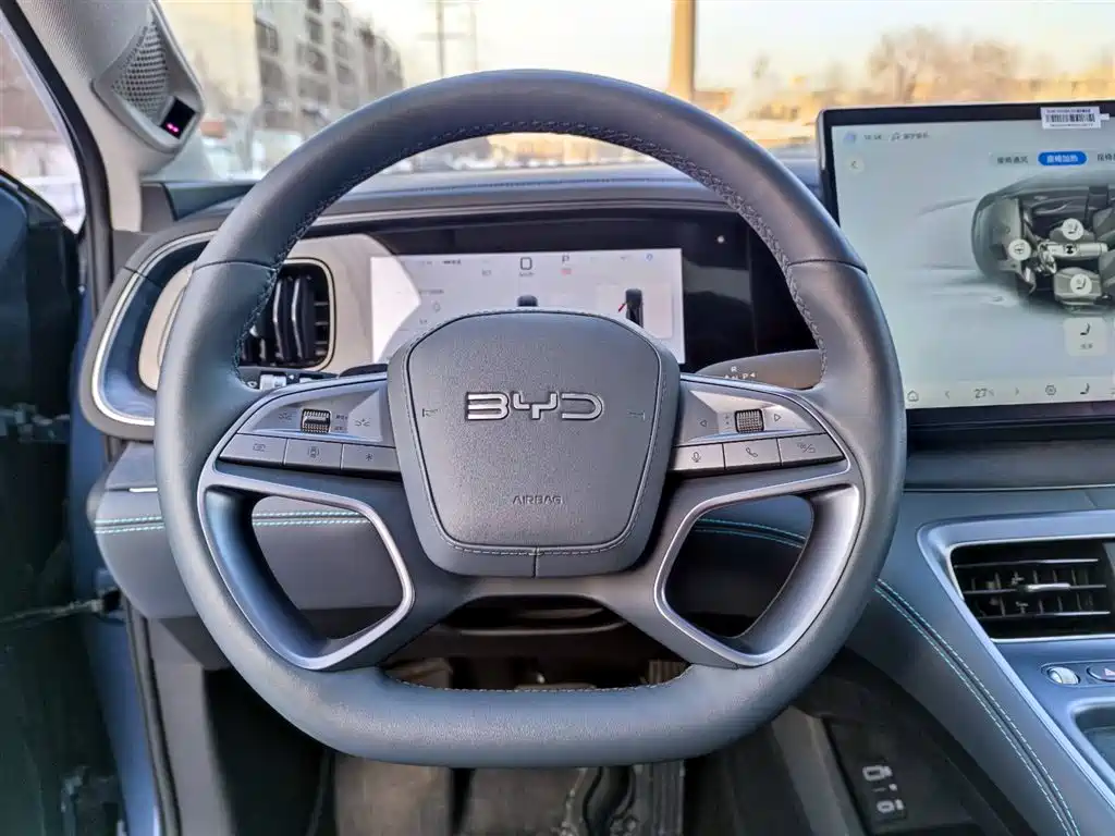 BYD Sealion 07 DM-i 2025 — фото 12
