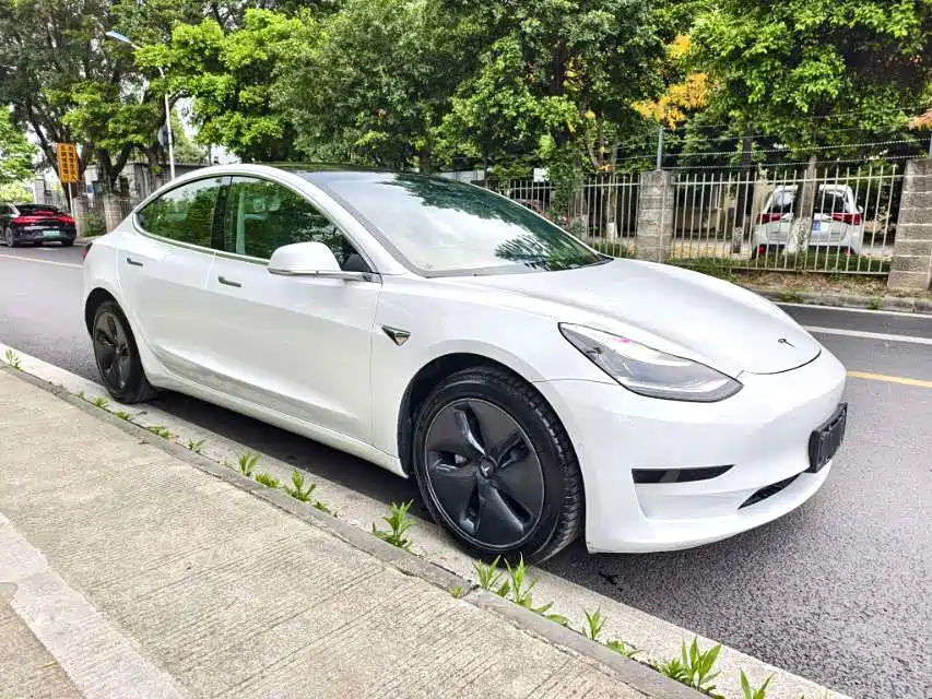 Tesla Model 3 2020 — фото 3