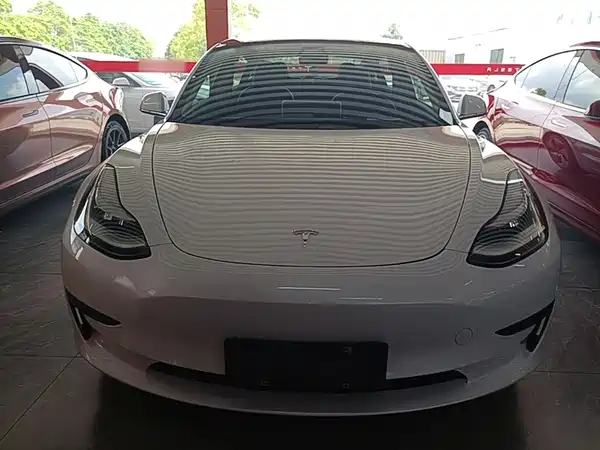 Tesla Model 3 2019