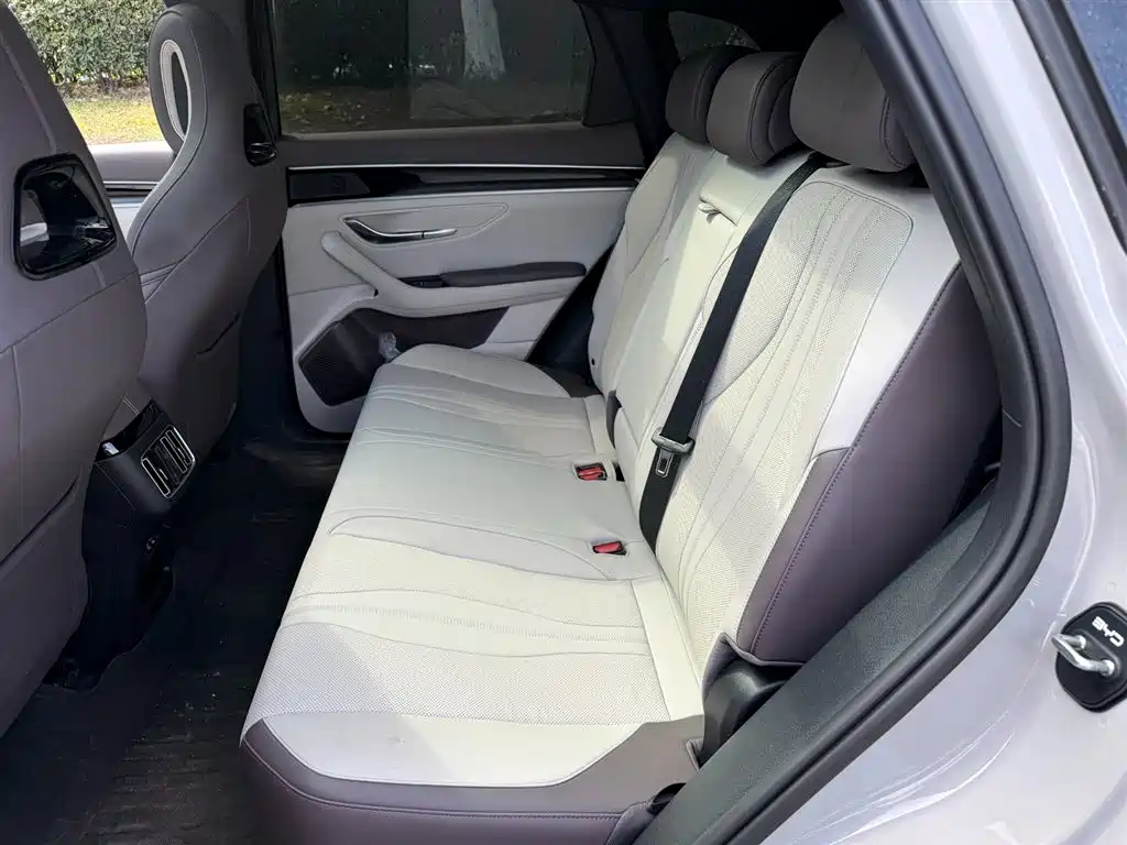 BYD PLUS New Energy 2025 — фото 10