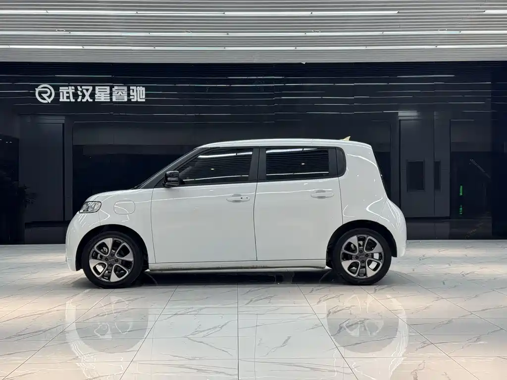 Ora White Cat 2021