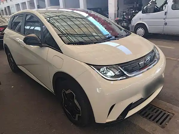 BYD Dolphin 2022