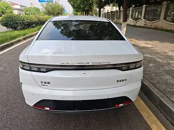 BYD Destroyer 05 2024
