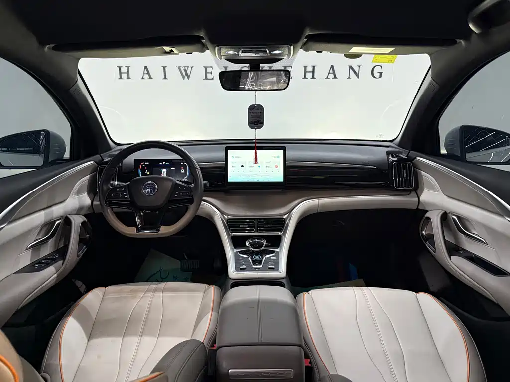 BYD Pro New Energy 2025 — фото 13